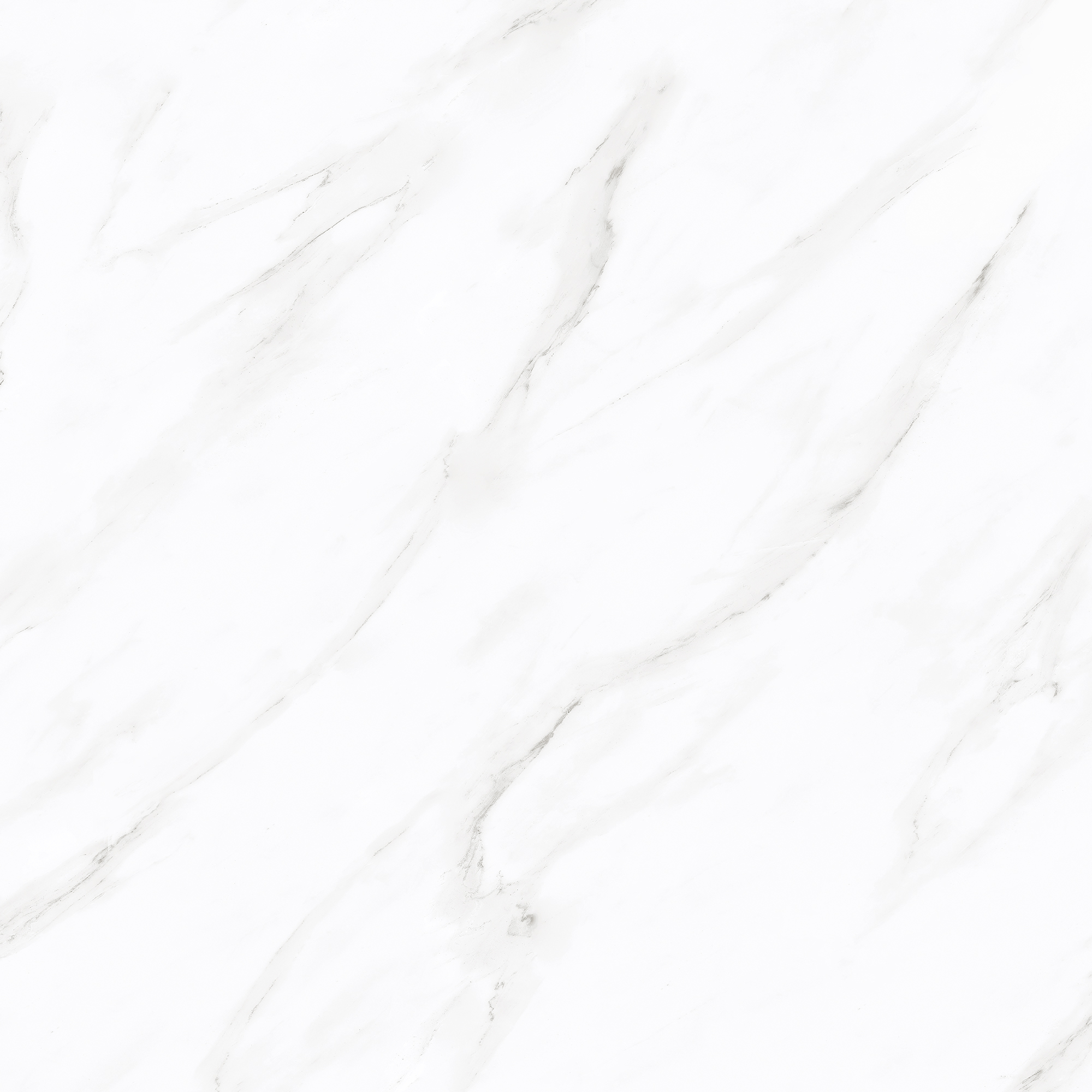 8396 maruman MAJESTY PRESTIGIO SC-V 8本 R 8396 maruman MAJESTY PRESTIGIO SC-V 8本 R - メルカリ