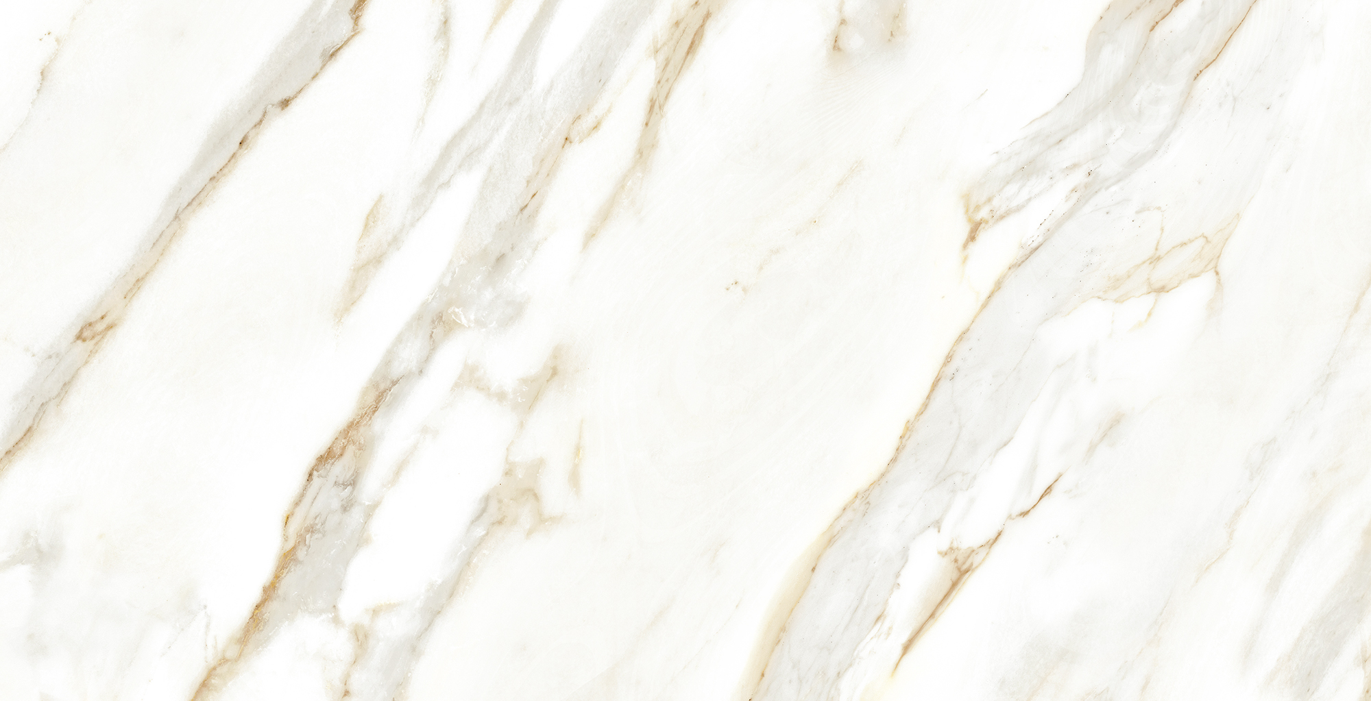 オーダー ピカピカ 477～480 、494～496 オーダー ピカピカ 477～480 、494～496 オーダー ピカピカ 477～480